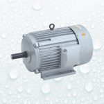 Sunrise Electric Motors 2 hp