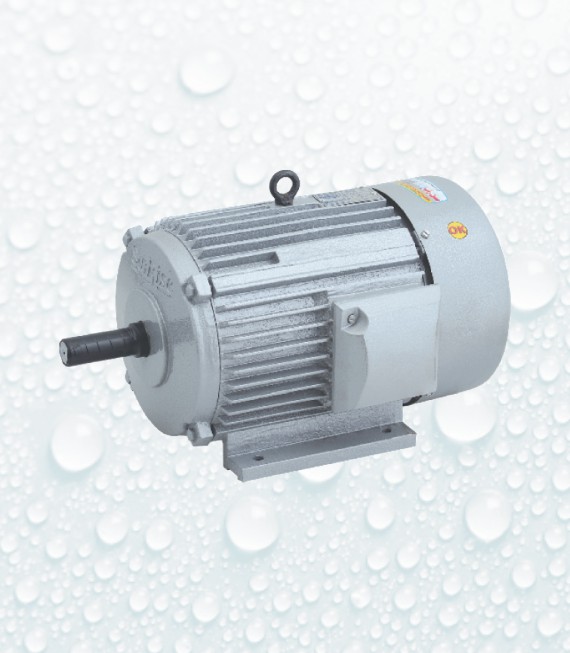 Sunrise Electric Motors 2 hp