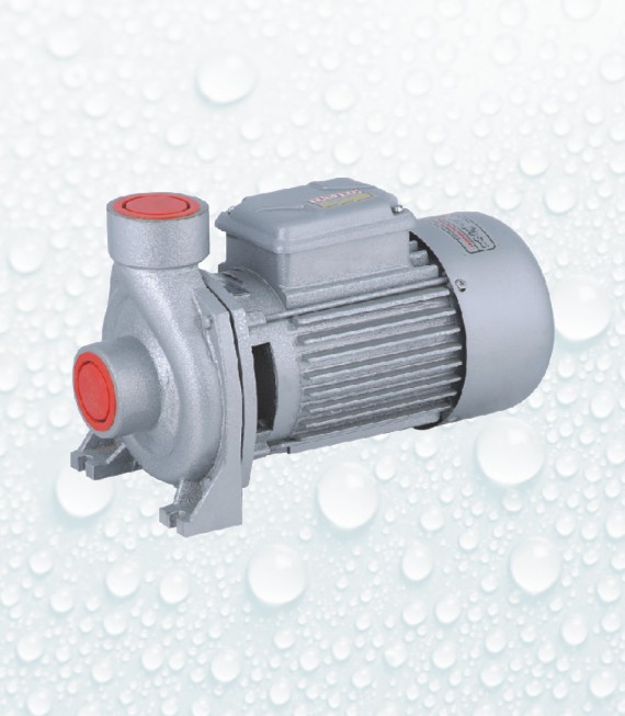 Sunrise Mono Block Pump 2 x 2